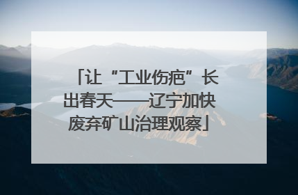 让“工业伤疤”长出春天——辽宁加快废弃矿山治理观察