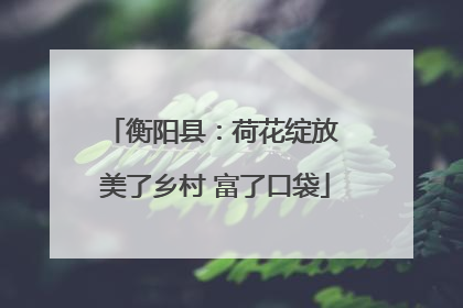衡阳县：荷花绽放 美了乡村 富了口袋