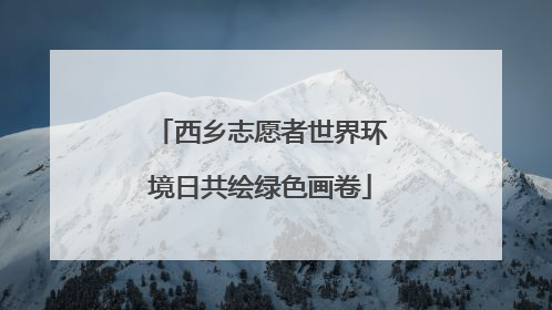 西乡志愿者世界环境日共绘绿色画卷