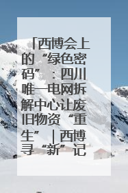 西博会上的“绿色密码”：四川唯一电网拆解中心让废旧物资“重生”｜西博寻“新”记