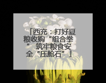 西充：打好夏粮收购“组合拳” 筑牢粮食安全“压舱石”