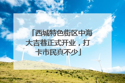 西城特色街区中海大吉巷正式开业，打卡市民真不少