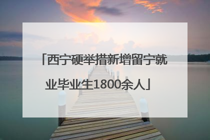 西宁硬举措新增留宁就业毕业生1800余人