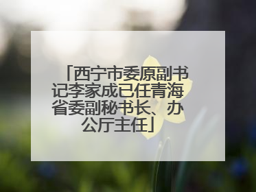 西宁市委原副书记李家成已任青海省委副秘书长、办公厅主任