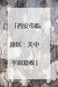 西安市临潼区：关中平原夏收