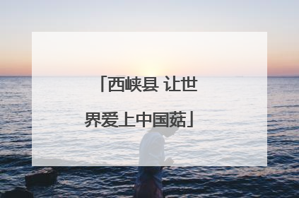 西峡县 让世界爱上中国菇