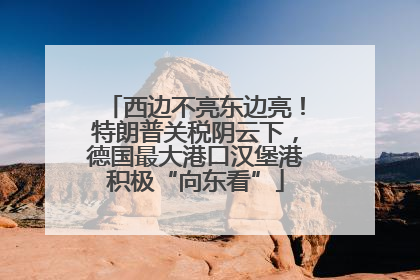 西边不亮东边亮！特朗普关税阴云下，德国最大港口汉堡港积极“向东看”