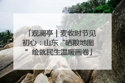 观澜亭｜麦收时节见初心：山东“晒粮地图”绘就民生温暖画卷