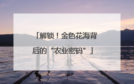 解锁！金色花海背后的“农业密码”