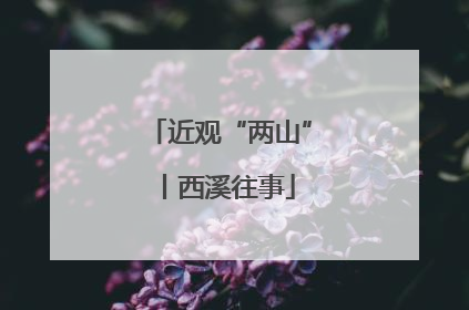 近观“两山”丨西溪往事