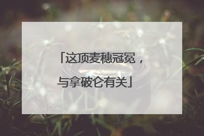 这顶麦穗冠冕，与拿破仑有关