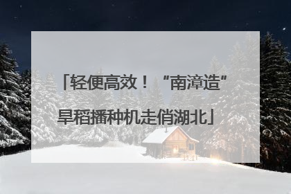 轻便高效！“南漳造”旱稻播种机走俏湖北