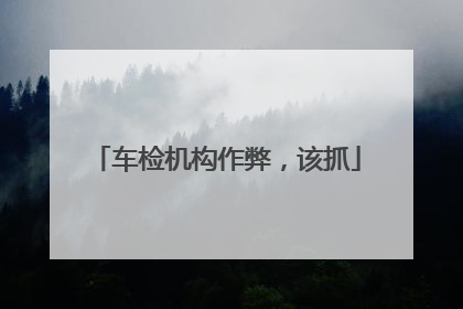 车检机构作弊，该抓