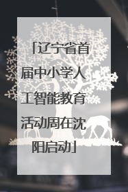辽宁省首届中小学人工智能教育活动周在沈阳启动