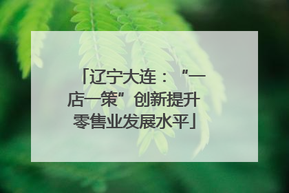 辽宁大连：“一店一策”创新提升零售业发展水平