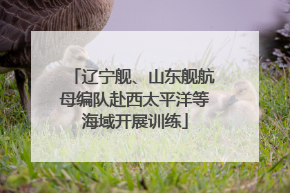 辽宁舰、山东舰航母编队赴西太平洋等海域开展训练
