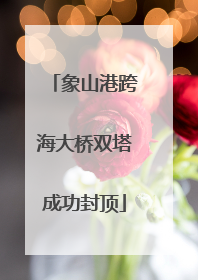 象山港跨海大桥双塔成功封顶