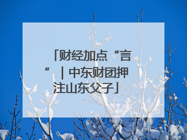 财经加点“言”｜中东财团押注山东父子