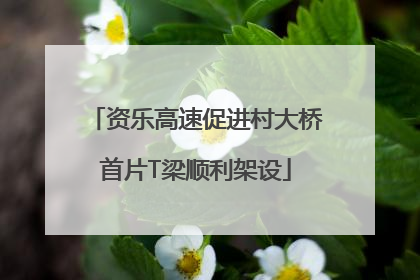 资乐高速促进村大桥首片T梁顺利架设