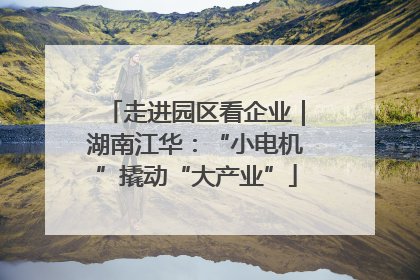 走进园区看企业｜湖南江华：“小电机”撬动“大产业”
