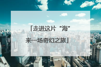 走进这片“海”来一场奇幻之旅