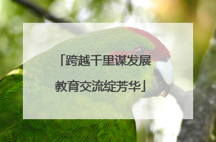 跨越千里谋发展 教育交流绽芳华