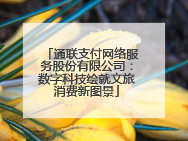 通联支付网络服务股份有限公司：数字科技绘就文旅消费新图景