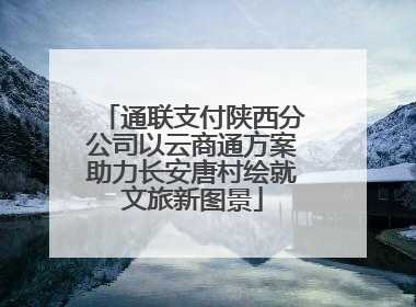 通联支付陕西分公司以云商通方案助力长安唐村绘就文旅新图景