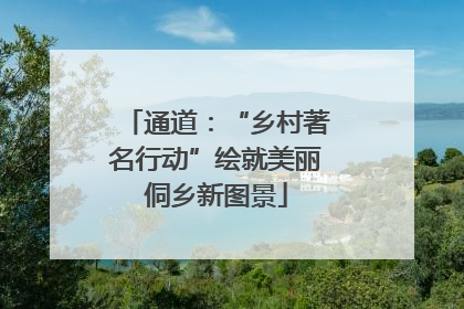 通道：“乡村著名行动”绘就美丽侗乡新图景