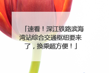 速看！深江铁路滨海湾站综合交通枢纽要来了，换乘超方便！