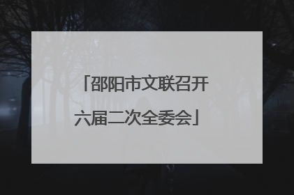 邵阳市文联召开六届二次全委会