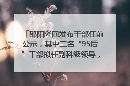 邵阳隆回发布干部任前公示，其中三名“95后”干部拟任副科级领导，均系硕士选调生