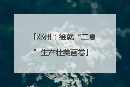 邓州：绘就“三夏”生产壮美画卷