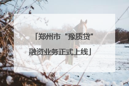 郑州市“豫质贷”融资业务正式上线
