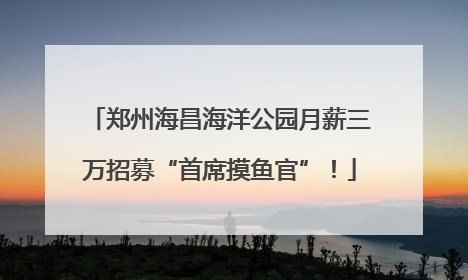 郑州海昌海洋公园月薪三万招募“首席摸鱼官”！