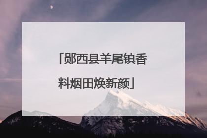 郧西县羊尾镇香料烟田焕新颜