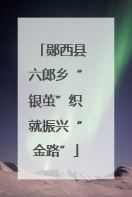 郧西县六郎乡“银茧”织就振兴“金路”