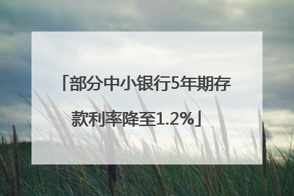 部分中小银行5年期存款利率降至1.2%