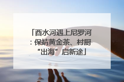 酉水河遇上尼罗河：保靖黄金茶、村厨“出海”启新途