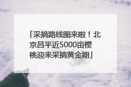采摘路线图来啦！北京昌平近5000亩樱桃迎来采摘黄金期