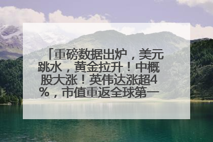 重磅数据出炉，美元跳水，黄金拉升！中概股大涨！英伟达涨超4%，市值重返全球第一！黄仁勋计划出售至多600万股股票