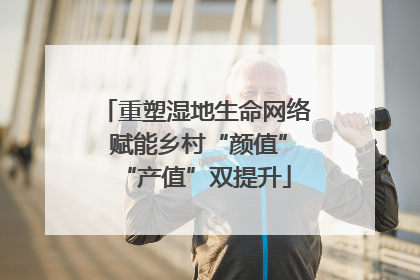 重塑湿地生命网络 赋能乡村“颜值”“产值”双提升