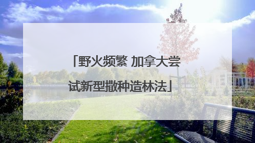 野火频繁 加拿大尝试新型撒种造林法