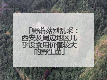 野蘑菇别乱采：西安及周边地区几乎没食用价值较大的野生菌