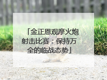 金正恩观摩火炮射击比赛：保持万全的临战态势
