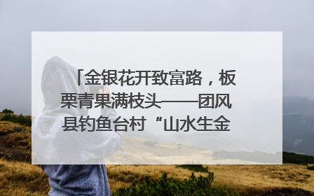 金银花开致富路，板栗青果满枝头——团风县钓鱼台村“山水生金”谱写共富新篇章