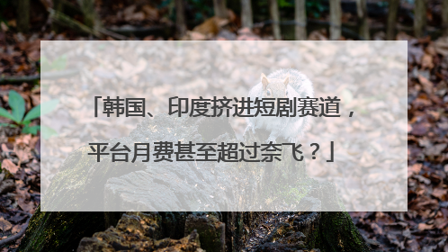 韩国、印度挤进短剧赛道，平台月费甚至超过奈飞？