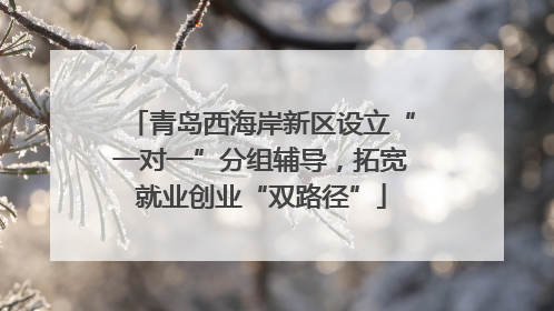 青岛西海岸新区设立“一对一”分组辅导，拓宽就业创业“双路径”