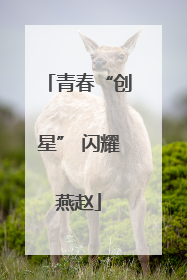 青春“创星” 闪耀燕赵
