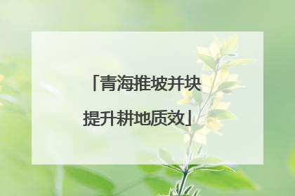 青海推坡并块提升耕地质效